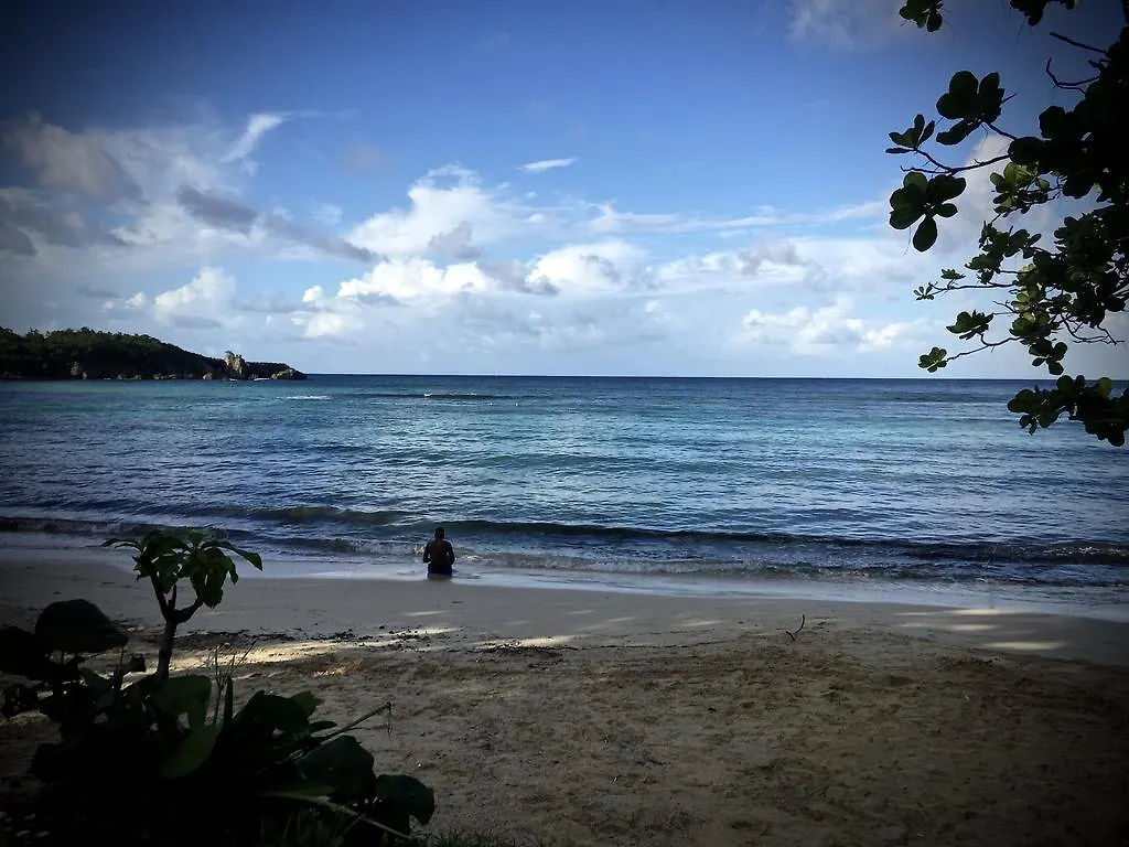 San San Tropez Hotel Port Antonio