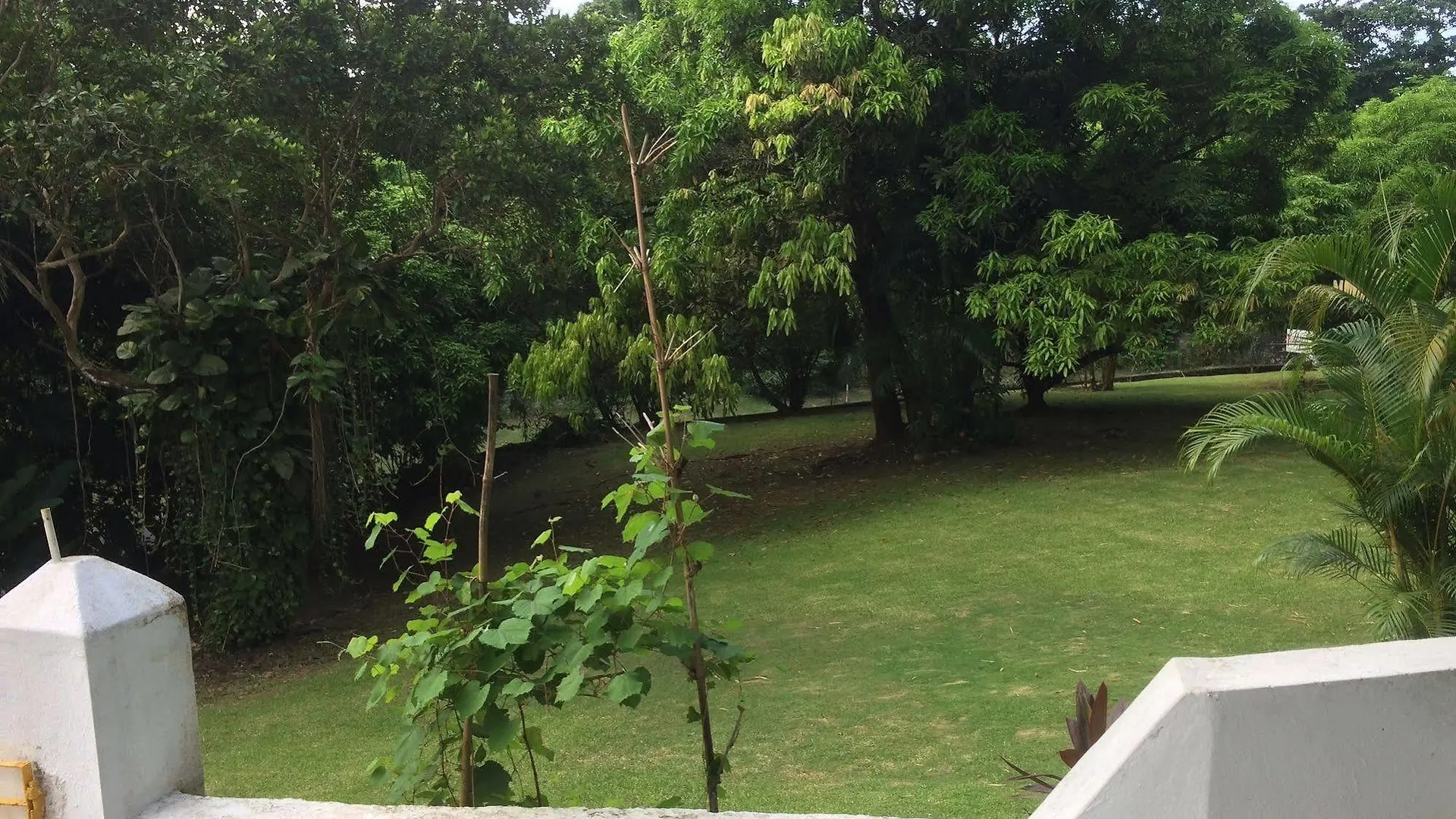 San San Tropez Hotel Port Antonio